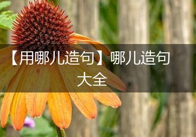 【用哪儿造句】哪儿造句大全