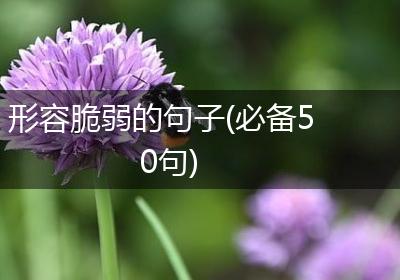 形容脆弱的句子(必备50句)
