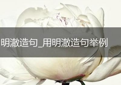 明澈造句_用明澈造句举例