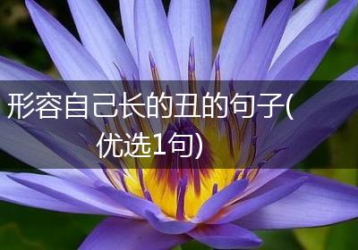 形容自己长的丑的句子(优选1句)