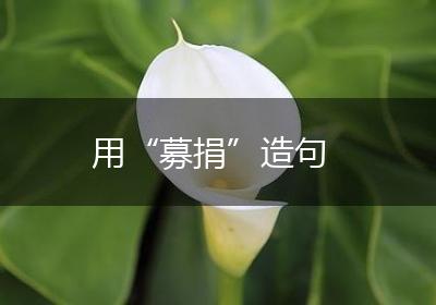 用“募捐”造句
