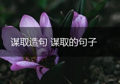 谋取造句 谋取的句子
