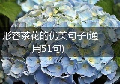形容茶花的优美句子(通用51句)