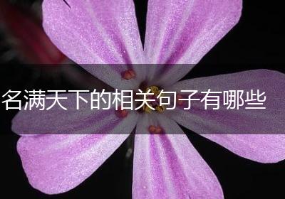 名满天下的相关句子有哪些