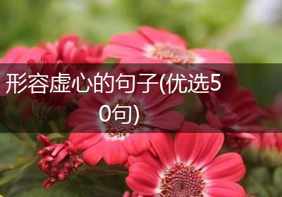 形容虚心的句子(优选50句)