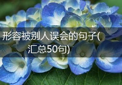 形容被别人误会的句子(汇总50句)