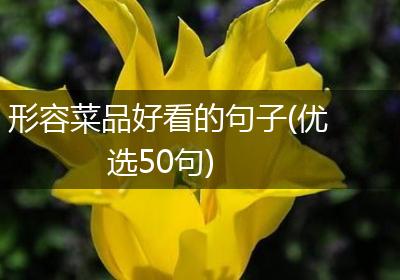 形容菜品好看的句子(优选50句)