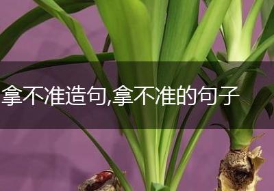 拿不准造句,拿不准的句子