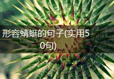 形容蜻蜓的句子(实用50句)