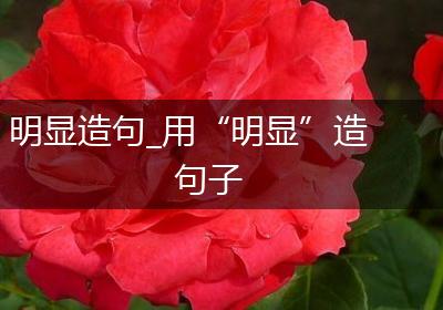 明显造句_用“明显”造句子