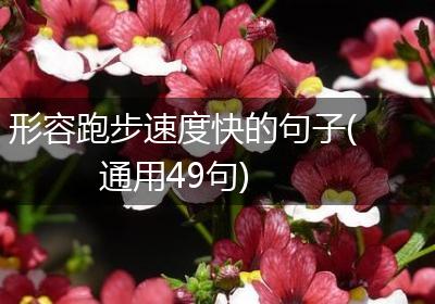 形容跑步速度快的句子(通用49句)