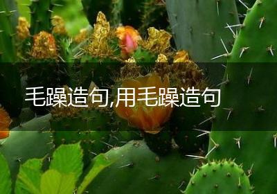 毛躁造句,用毛躁造句