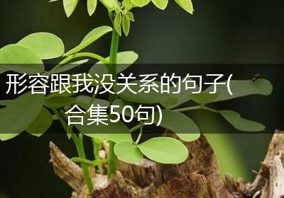形容跟我没关系的句子(合集50句)
