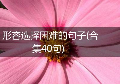 形容选择困难的句子(合集40句)