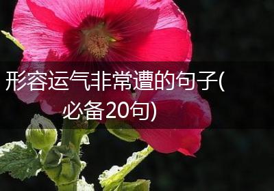 形容运气非常遭的句子(必备20句)