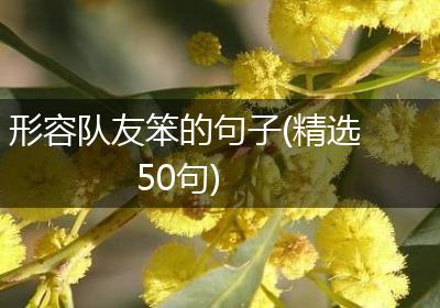 形容队友笨的句子(精选50句)