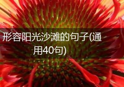 形容阳光沙滩的句子(通用40句)
