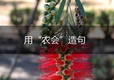 用“农会”造句