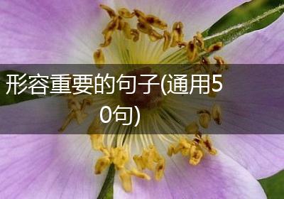 形容重要的句子(通用50句)