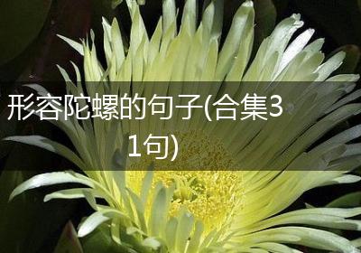 形容陀螺的句子(合集31句)