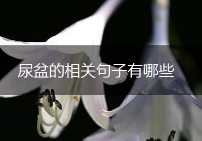 尿盆的相关句子有哪些