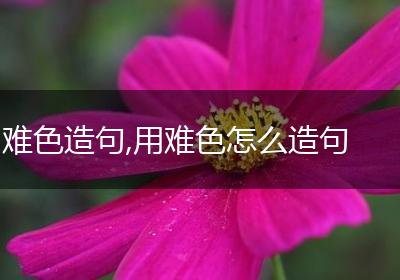 难色造句,用难色怎么造句