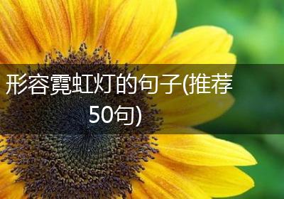 形容霓虹灯的句子(推荐50句)