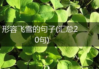 形容飞雪的句子(汇总20句)