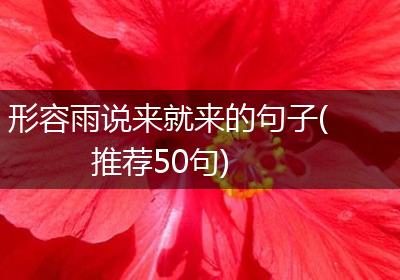 形容雨说来就来的句子(推荐50句)