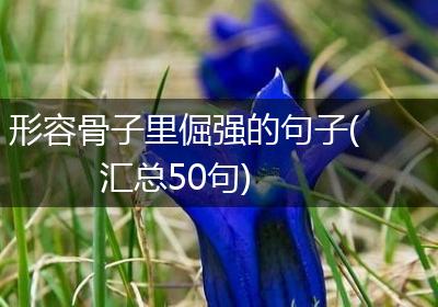 形容骨子里倔强的句子(汇总50句)