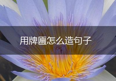 用牌匾怎么造句子