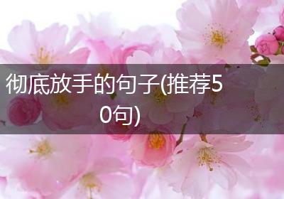 彻底放手的句子(推荐50句)