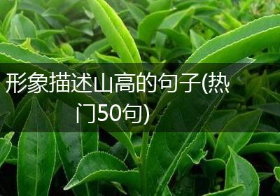 形象描述山高的句子(热门50句)