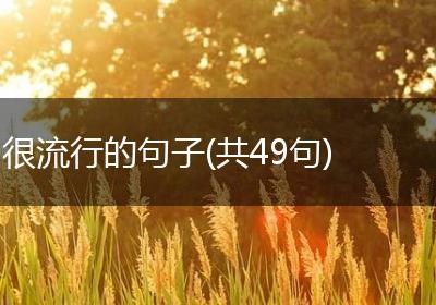 很流行的句子(共49句)