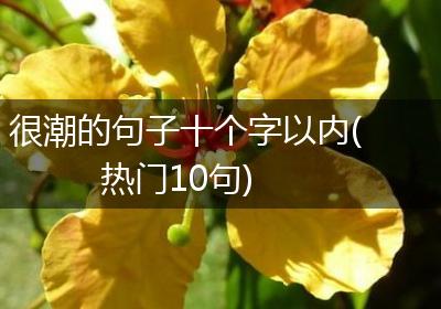 很潮的句子十个字以内(热门10句)