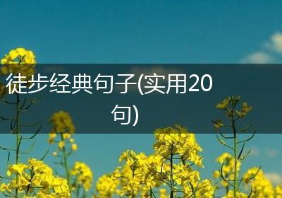 徒步经典句子(实用20句)
