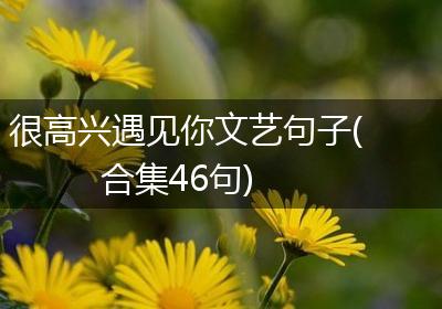 很高兴遇见你文艺句子(合集46句)