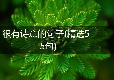 很有诗意的句子(精选55句)