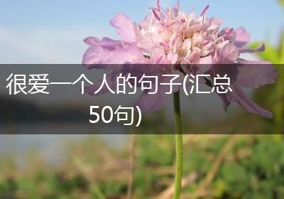 很爱一个人的句子(汇总50句)
