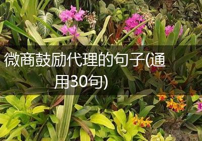 微商鼓励代理的句子(通用30句)