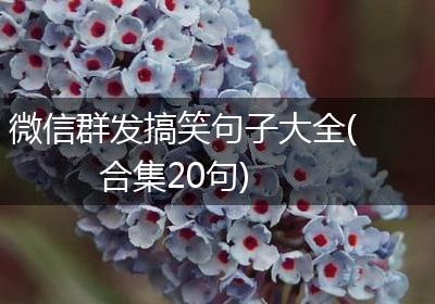 微信群发搞笑句子大全(合集20句)