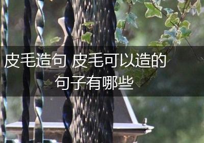 皮毛造句 皮毛可以造的句子有哪些