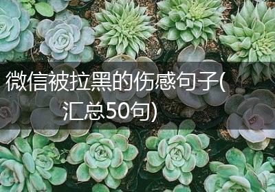 微信被拉黑的伤感句子(汇总50句)