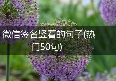 微信签名竖着的句子(热门50句)