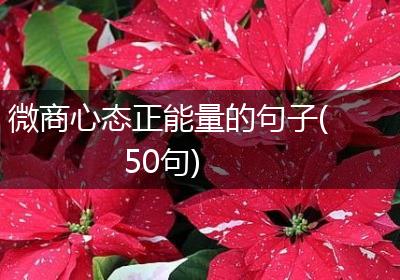 微商心态正能量的句子(50句)