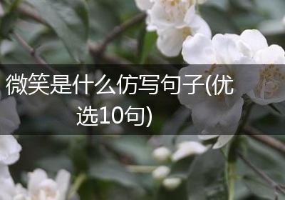 微笑是什么仿写句子(优选10句)