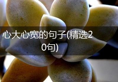 心大心宽的句子(精选20句)