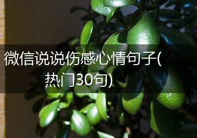 微信说说伤感心情句子(热门30句)
