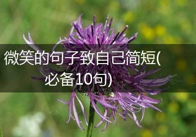 微笑的句子致自己简短(必备10句)