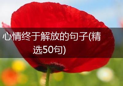 心情终于解放的句子(精选50句)